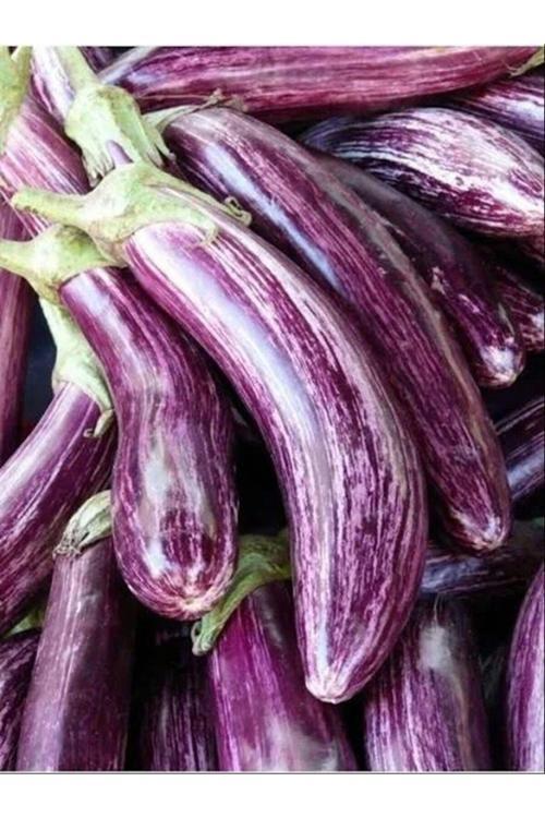 Çizgili Alaca Patlıcan Tohumu 100 Adet