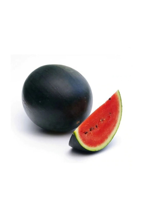 Standart Halep Karası Karpuz Tohumu 100 Gr Tohum