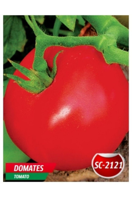 Sc-2121 Domates Tohumu 25 Adet Domates