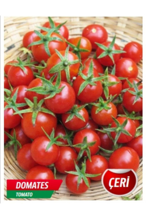 Çeri Domates Tohumu 25 Adet Tohum