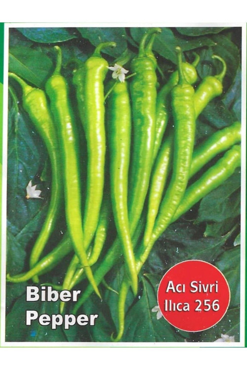 Acı Sivri Ilıca Biber Tohumu 100 Adet Tohum