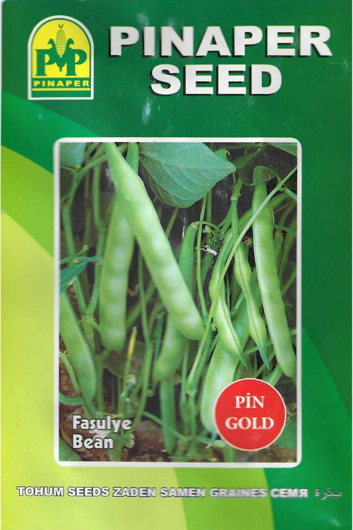 Fasulye Pin Gold Tohumu 10 Gr Pınaper Tohumculuk