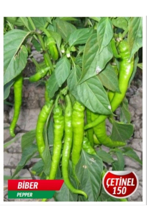 Çetinel 150 Biber Tohumu 100 Adet Tohum