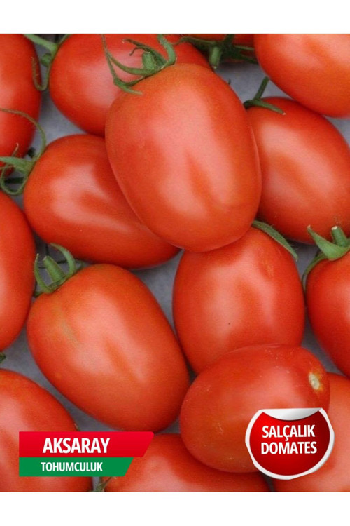 Salçalık Domates Tohumu 2 Gr Tohum