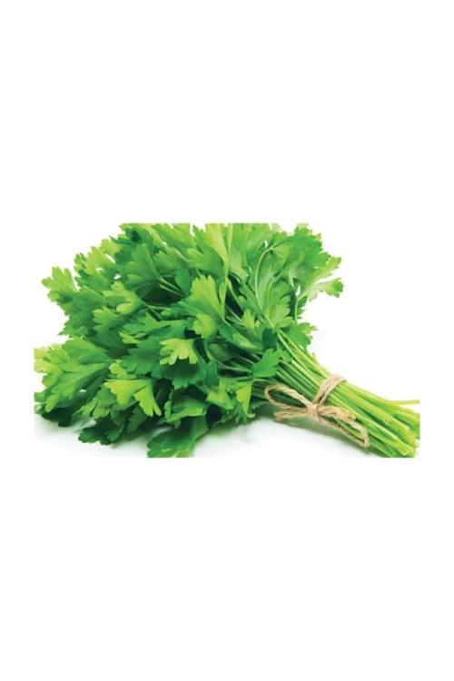 Maydonoz Tohumu 5 Gr Tohum