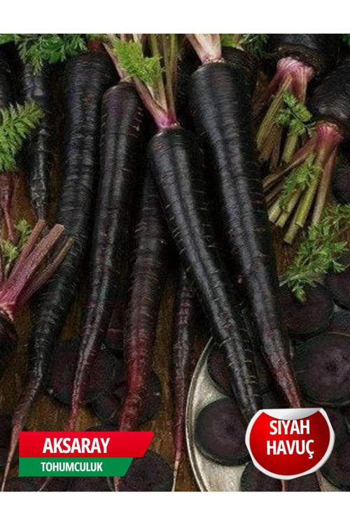 Siyah Havuç Tohumu 1200 Adet Tohum