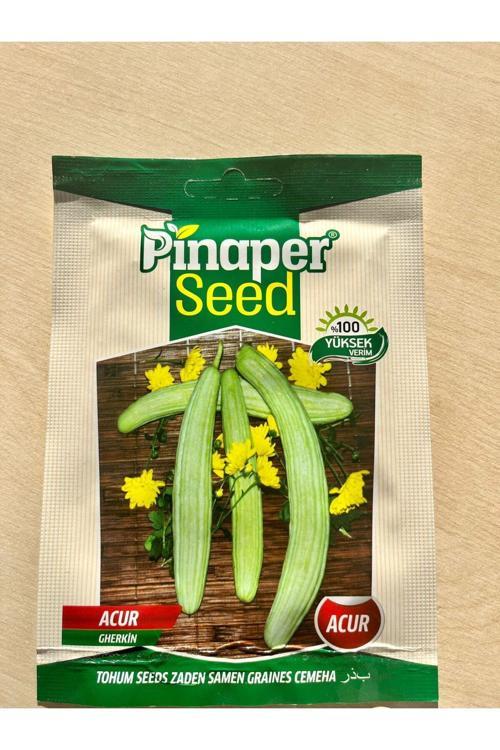 Acur Tohumu 10 Gr Pınaper Tohumculuk Paket