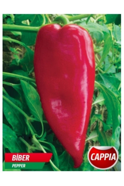 Kapya Biber Tohumu 5 Gr Tohum