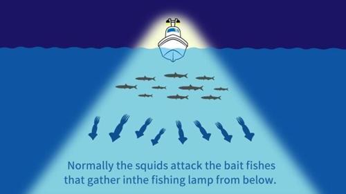 Upper 95 mm Kalamar Zokası RG