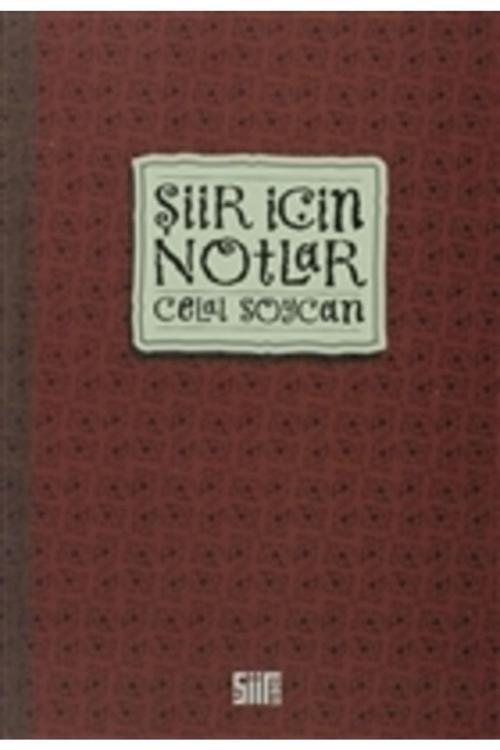 Şiirden Yayınları Şiir Için Notlar