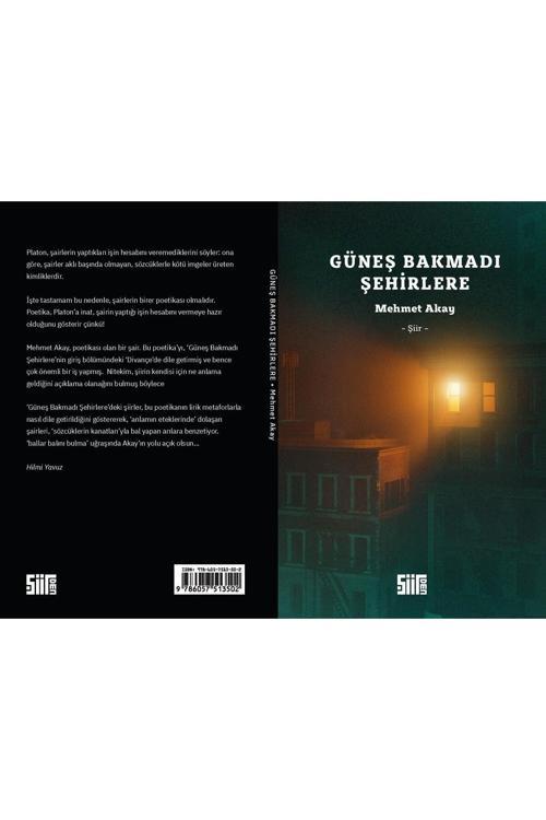 Şiirden Yayınları Güneş Bakmadı Denizlere