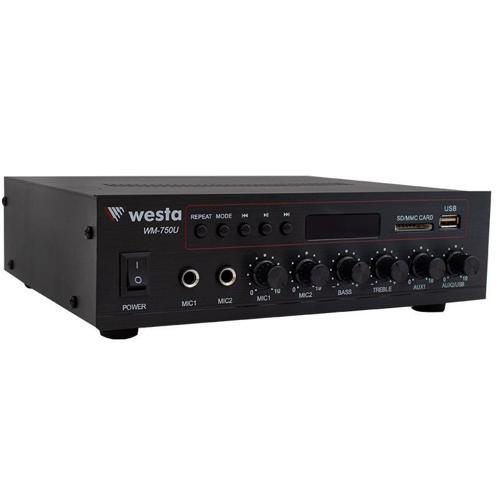 WM-750U 80 Watt 100V-70V Mini 4-16 Ohm USB-SD-Bluetooth 2 Mikrofon Girişli Trafolu Anfi