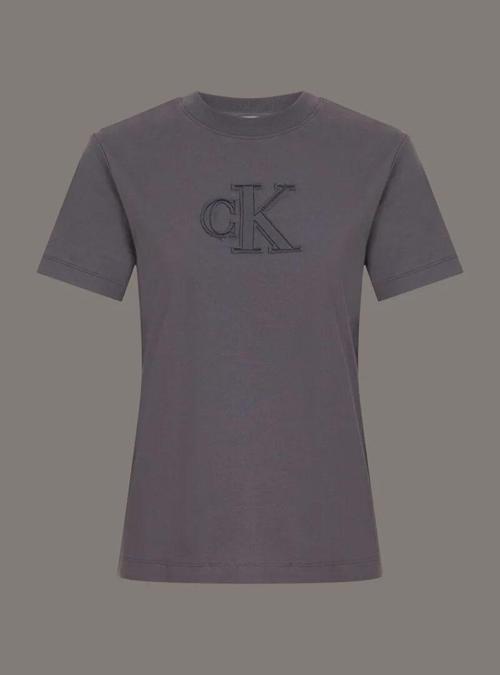 CK Jeans CK APPLIQUE REGULAR TEE Kadın  T-shirt J20J225256-PMP