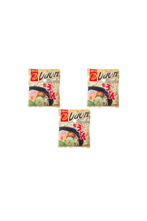 Orient Foods Japon Usülü Udon Noodle 200 gr 3'lü Set