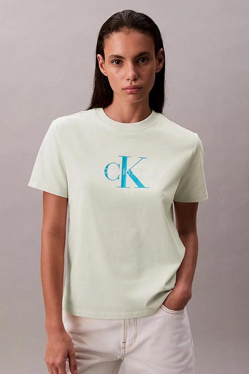 CK Jeans HR SS CLSSC MNLG CNC Kadın  T-shirt LV047B865G-NF1