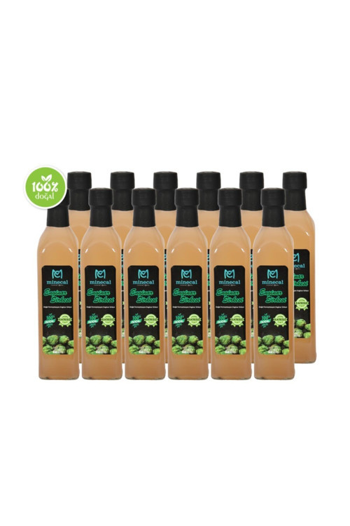 Doğal Fermente Enginar Sirkesi 12X500Ml