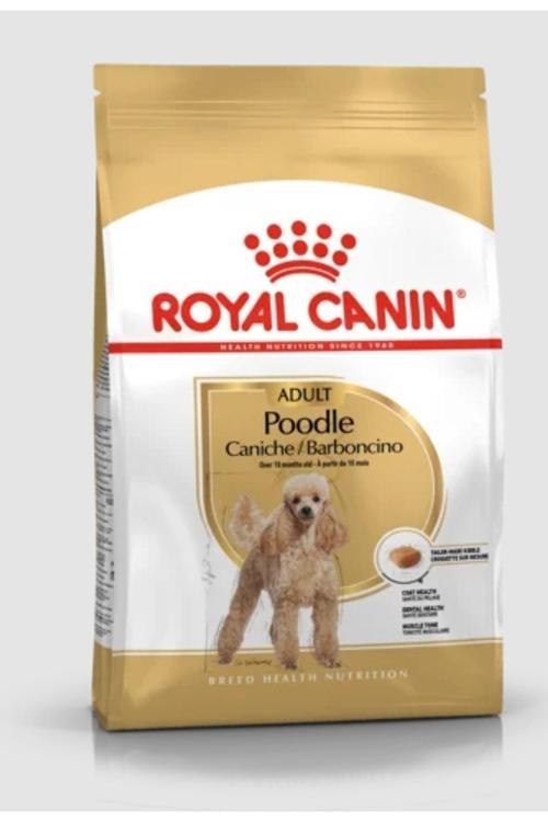 Poodle Adult Yetişkin Köpek Maması 3 kg
