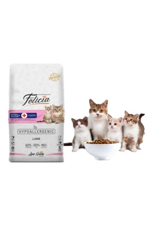 Felıcıa Kitten&mother Care 2 Kg Kedi Maması