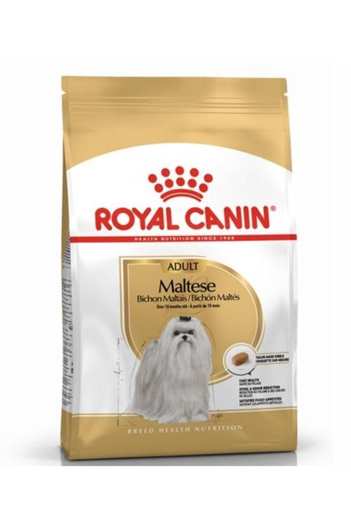 Maltese Bichon Maltais Yetişkin Köpek Maması 1,5 kg