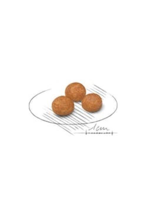 X-small Adult Yetişkin Köpek Maması 1,5 kg