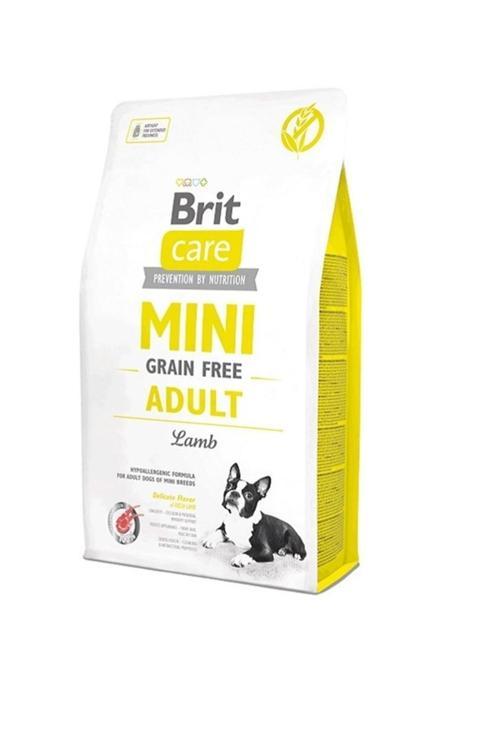 Mini Tahılsız Kuzu Etli Küçük Irk Yetişkin Köpek Maması 2 Kg