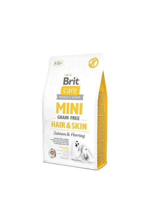 Care Tahılsız Mini Hair Skin Somonlu Köpek Maması 2 Kg