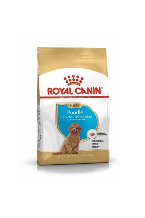 Puppy Poodle Küçük Irk Yavru Köpek Maması 3 kg