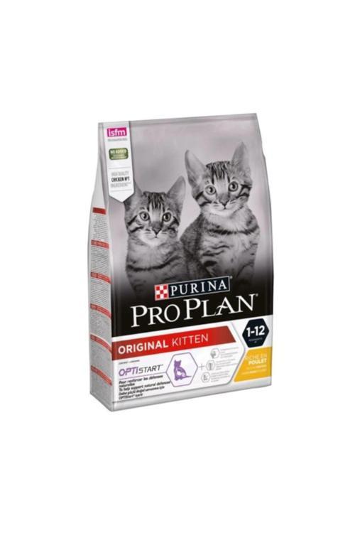 Original Kitten Yavru Kedi Maması 10 Kg