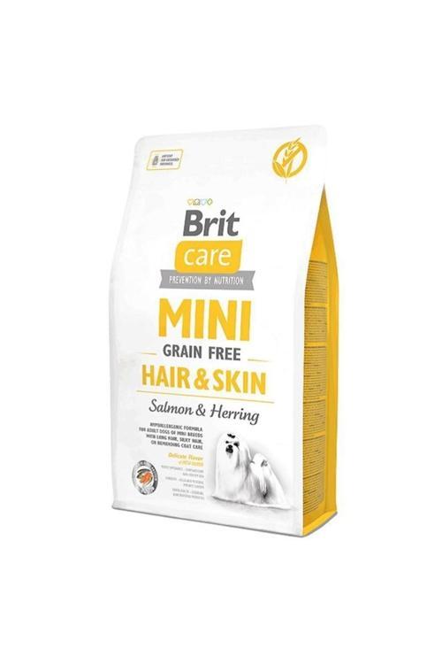 Care Tahılsız Mini Hair Skin Somonlu Köpek Maması 2 Kg