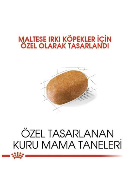 Maltese Bichon Maltais Yetişkin Köpek Maması 1,5 kg