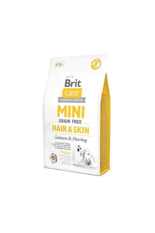 Care Tahılsız Mini Hair Skin Somonlu Köpek Maması 2 Kg