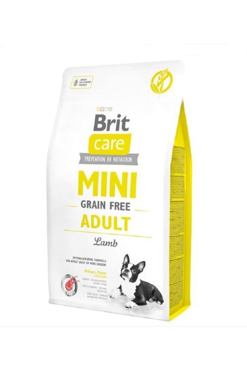Mini Tahılsız Kuzu Etli Küçük Irk Yetişkin Köpek Maması 2 Kg