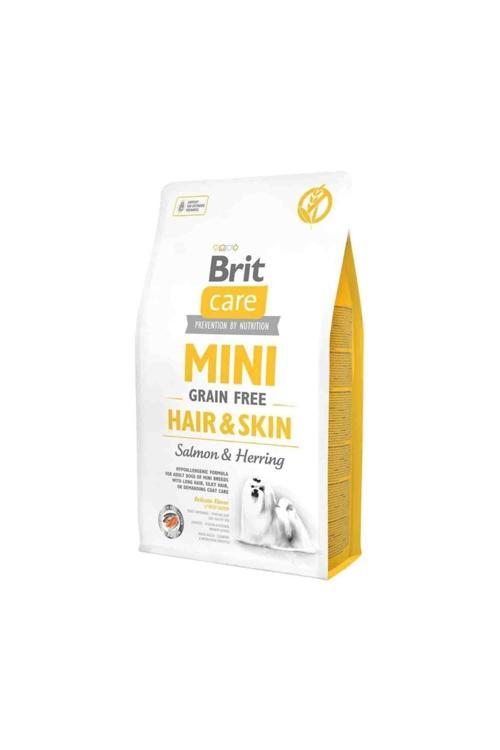 Care Tahılsız Mini Hair Skin Somonlu Köpek Maması 2 Kg