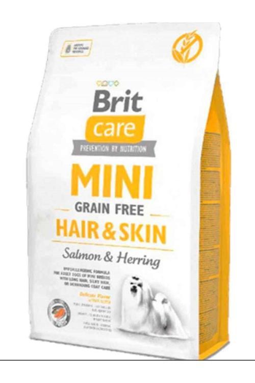 Care Tahılsız Mini Hair Skin Somonlu Köpek Maması 2 Kg