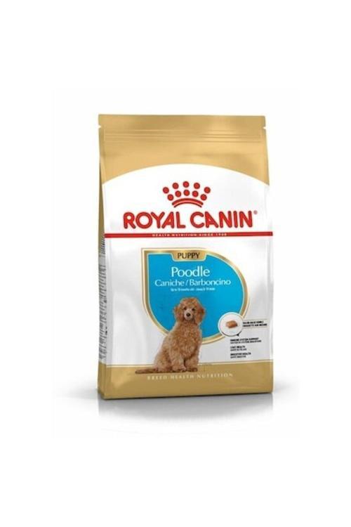 Puppy Poodle Küçük Irk Yavru Köpek Maması 3 kg