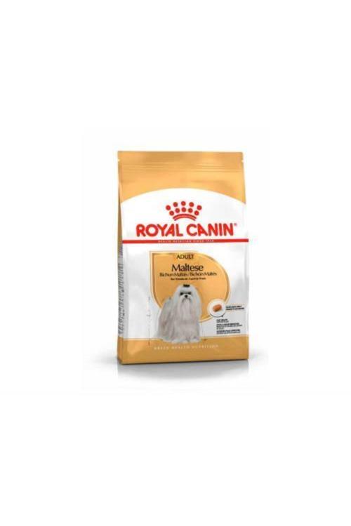 Maltese Bichon Maltais Yetişkin Köpek Maması 1,5 kg