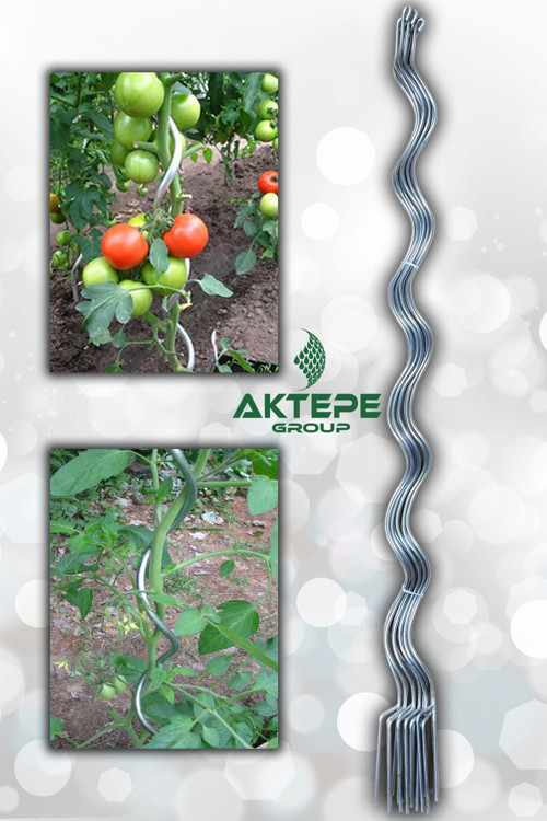 Bitki Teli 20 Adet 150 Cm Metal Spiral Bitki Çubuğu Bitki Bağlama Destek Teli Sebze Ve Çiçek Teli