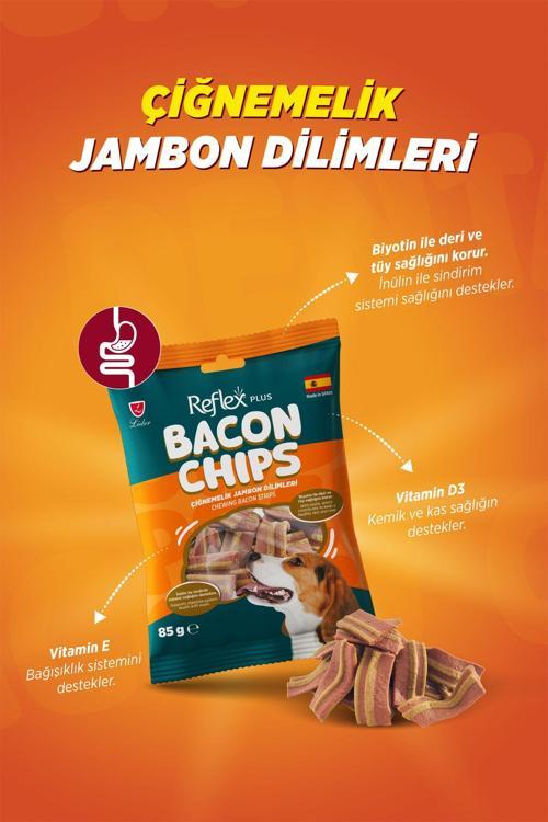 Bacon Chips / Çiğnemelik Jambon Dilimleri Yetişkin Köpek Ödül Maması