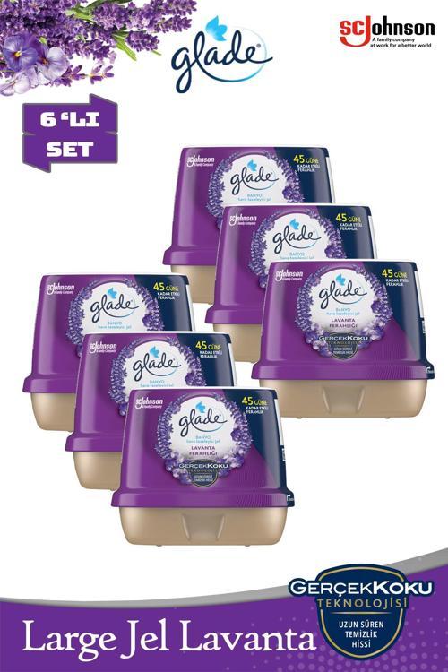 6'lı Large Jel Lavanta Oda Kokusu Seti