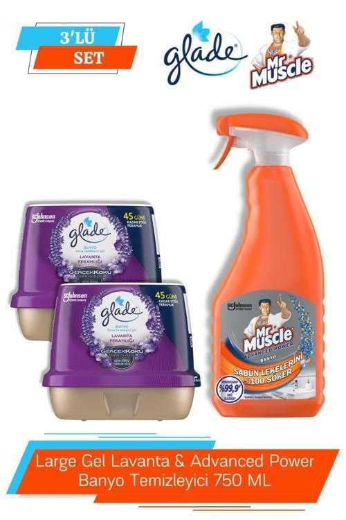 Large Gel Lavanta & Advanced Power Banyo Temizleyici 750 ML