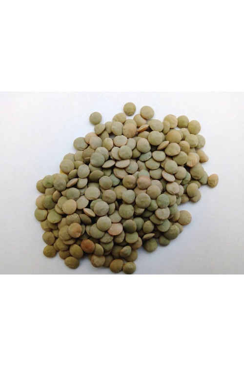 Köy Mercimeği-(1 Kg) Katkısız Ve Doğal Minik Yeşil Mercimek