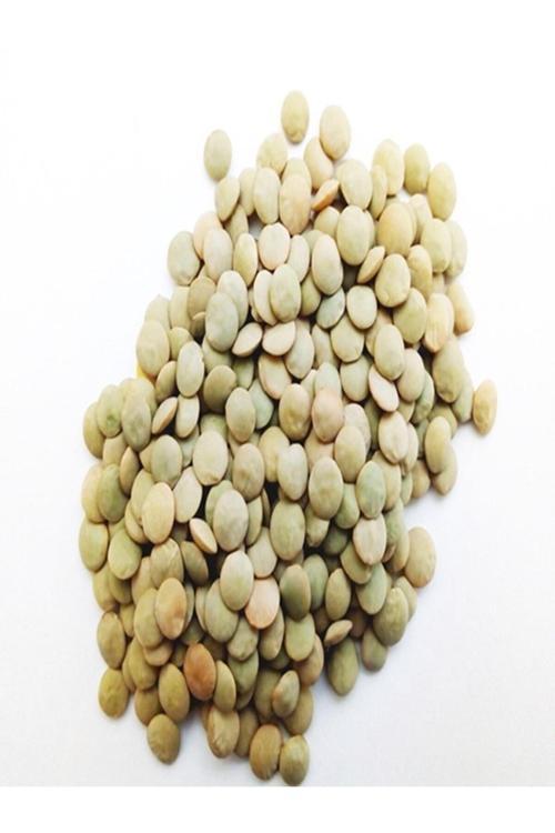 Yeşil Mercimek-(5 Kg) Yerli Büyük Boy Katkısız Ve Doğal
