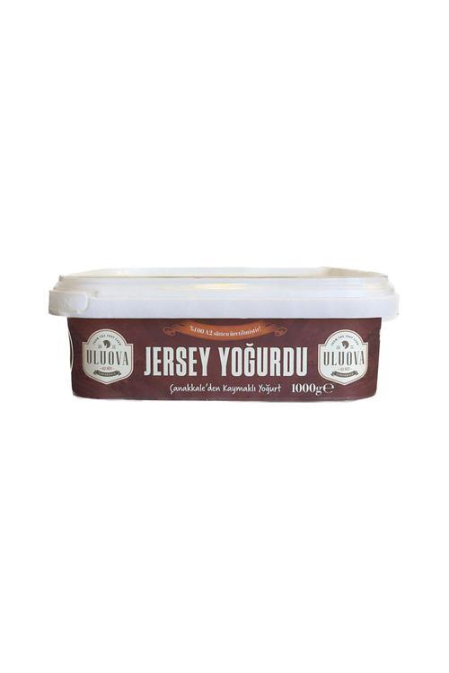 Kaymaklı Jersey Yoğurdu (1 Kg) X6 Adet