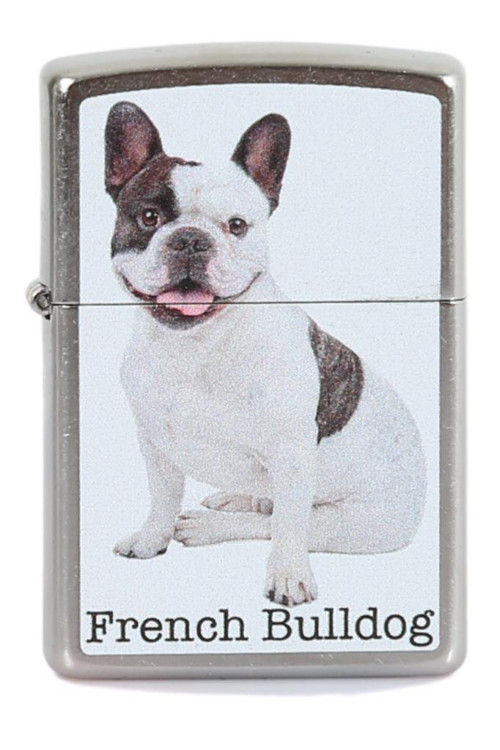 Çakmak French Bulldog