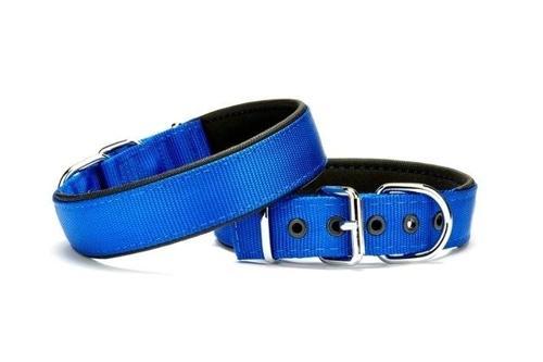 Softlu Köpek Boyun Tasması 2 cm x 40 cm Mavi