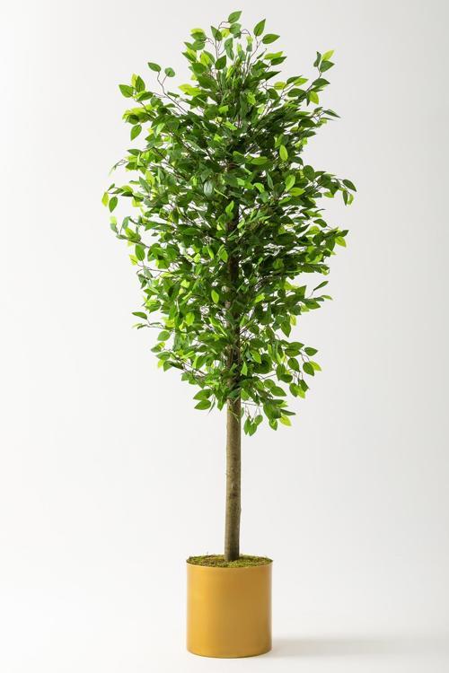 Yapay Benjamin Ağacı 200 Cm Gold Metal Metal Saksı