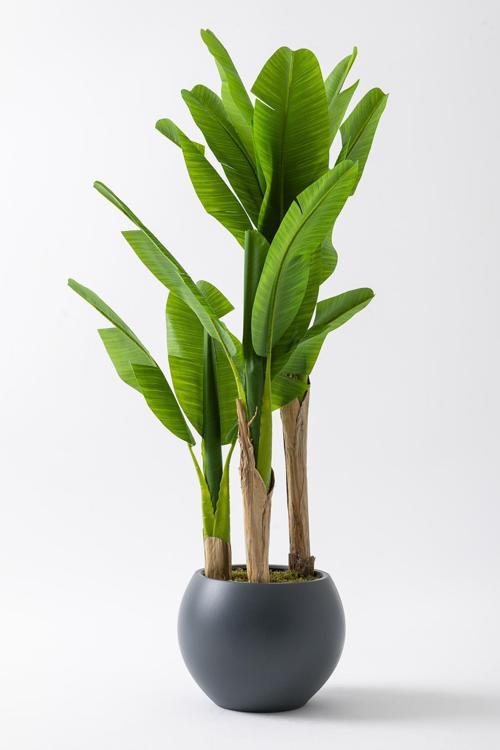 Yapay Muz Ağacı 160 Cm Küre Plastik Saksı