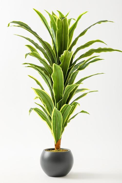 Yapay Dracaena Fragrans Ağacı 100 Cm Gri Küre Saksı