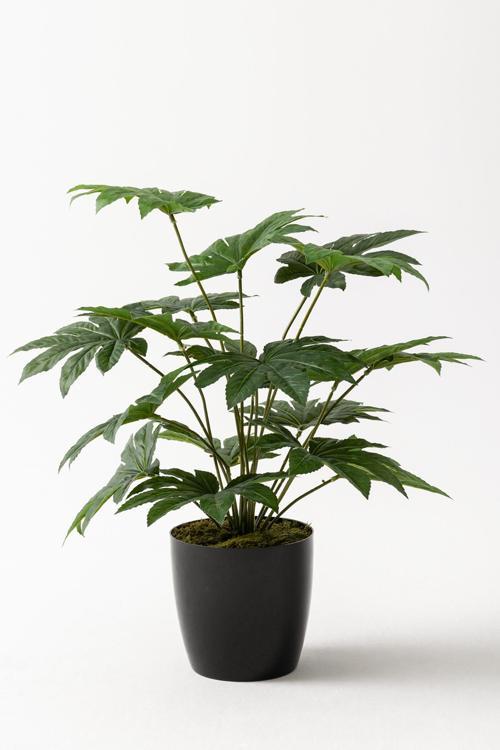 Yapay Salon Köşe Çiçeği Japon Çınar 80 Cm (Saksısız)