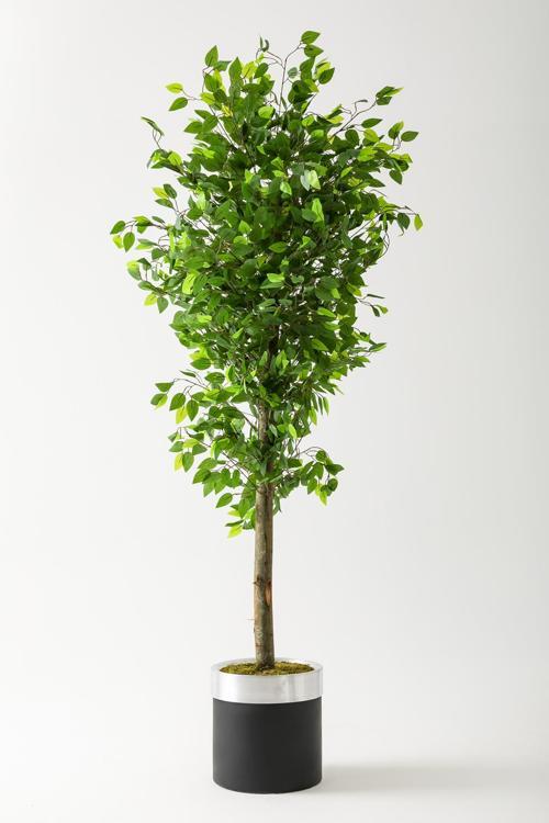 Yapay Benjamin Ağacı 180 Cm Siyah Gümüş Metal Saksı